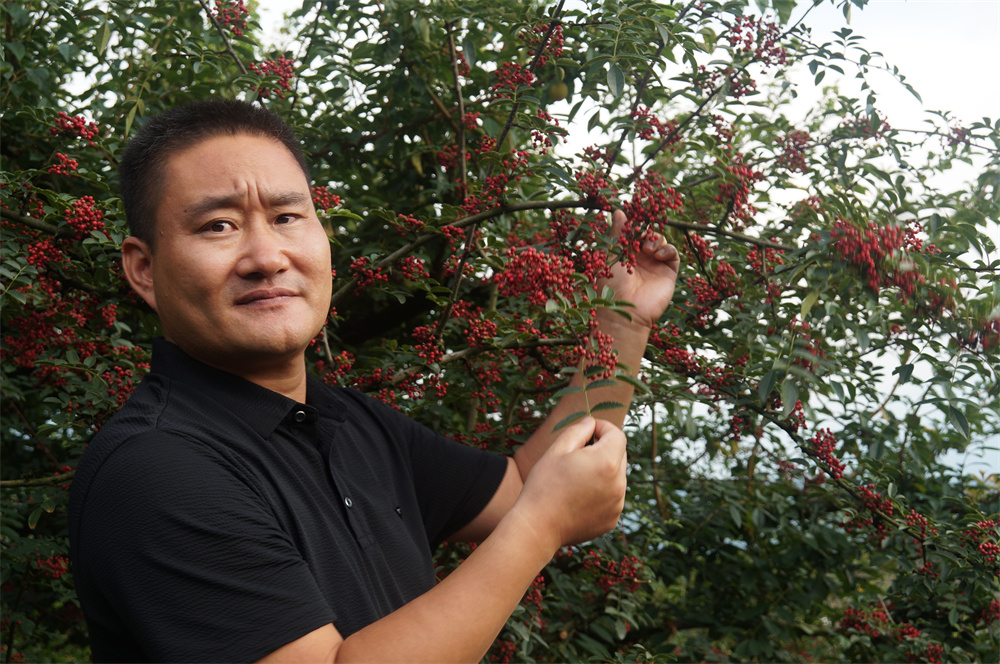 AG8亚洲游集团2022大事记